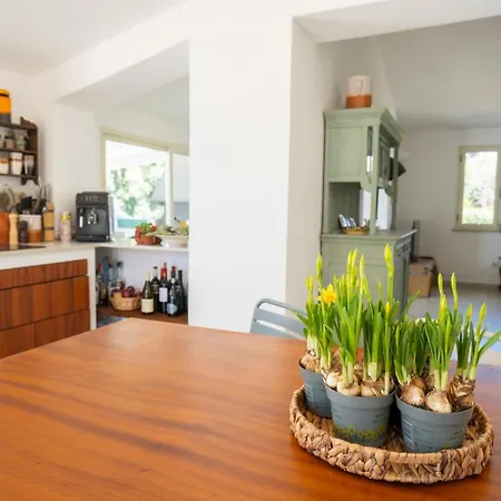 וילה Enotria - Tramonto Sullo Stromboli קאפו ואטיצ'אנו