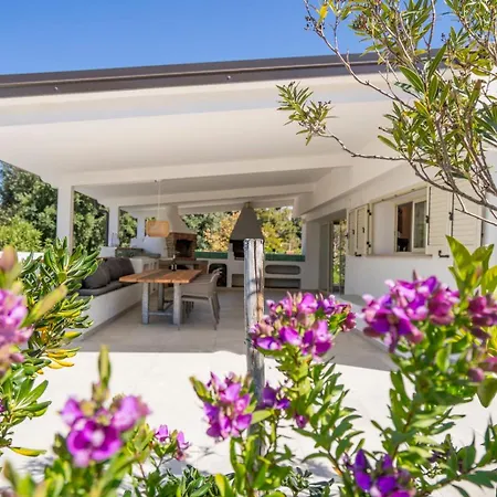 Enotria - Tramonto Sullo Stromboli