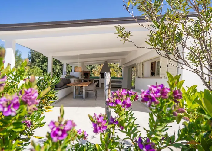 Enotria - Tramonto Sullo Stromboli