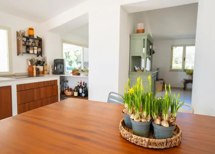 Villa Enotria - Tramonto Sullo Stromboli Capo Vaticano